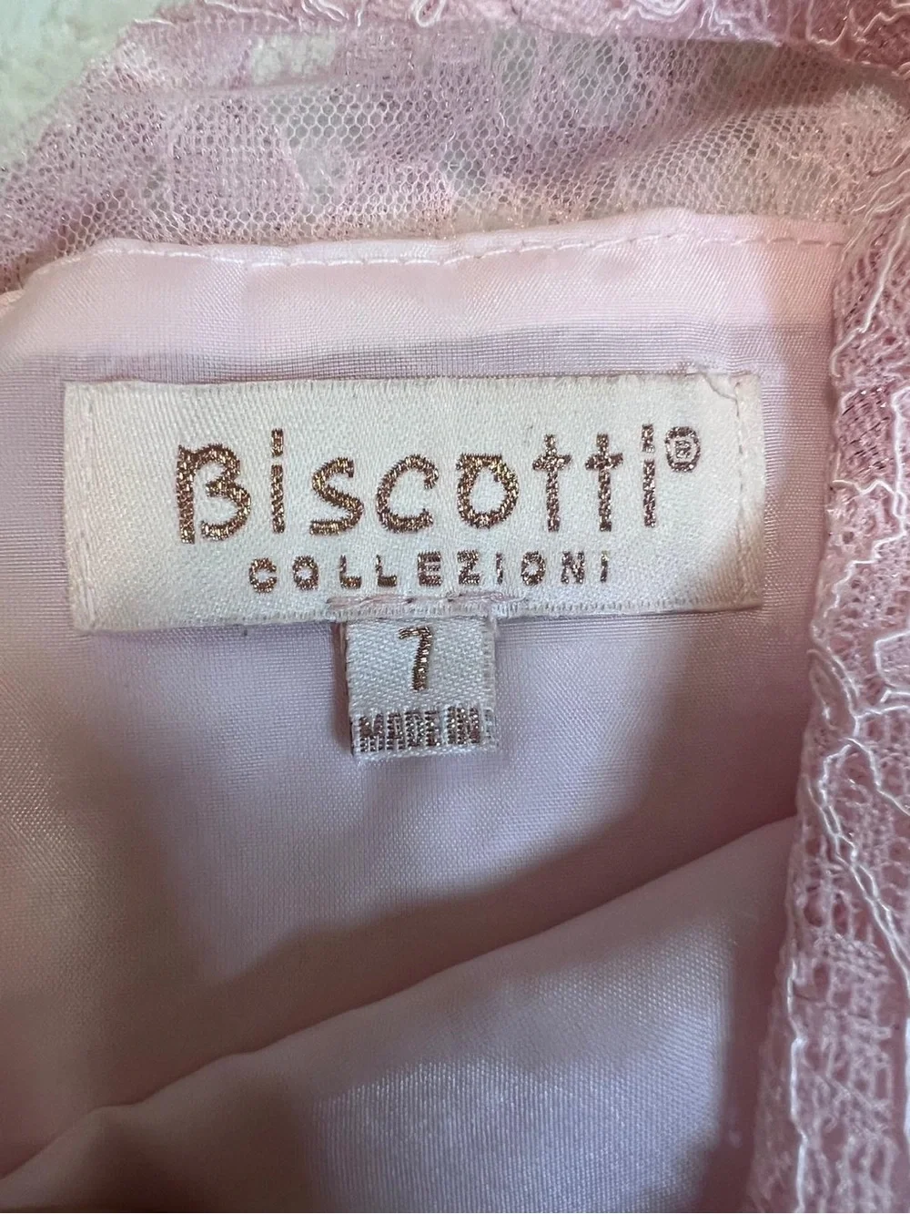 Biscotti Dusty Pink Lace & Tulle Party Dress